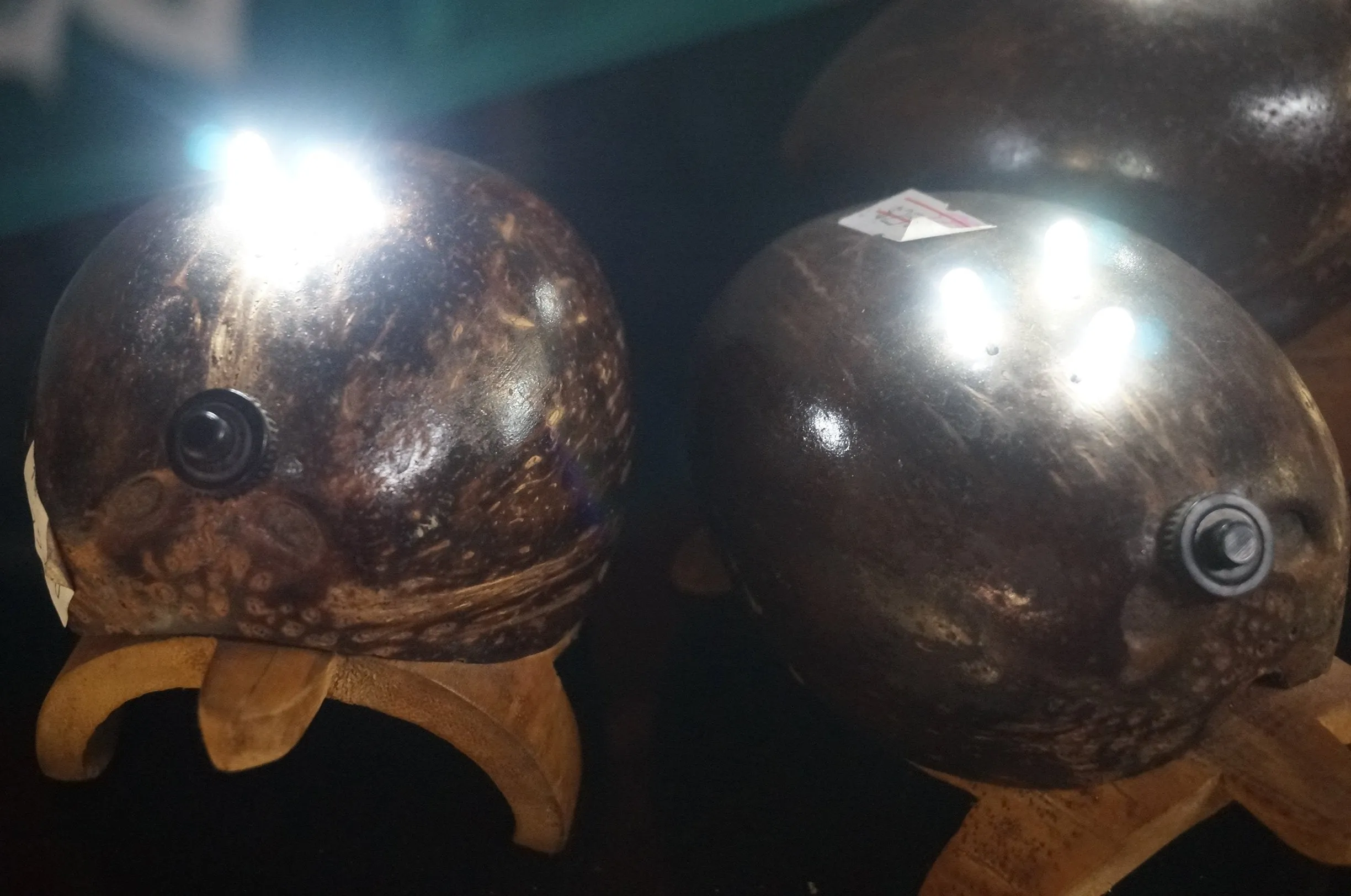 Coco Collection Turtle Lamps - ohiohippiessmokeshop.com