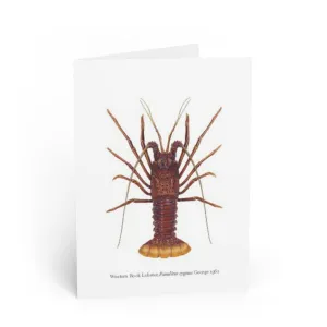 Western Rock Lobster Greeting Card